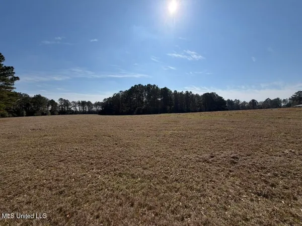 $148,000 | Water Tank Road, Sandy Hook, MS 39478