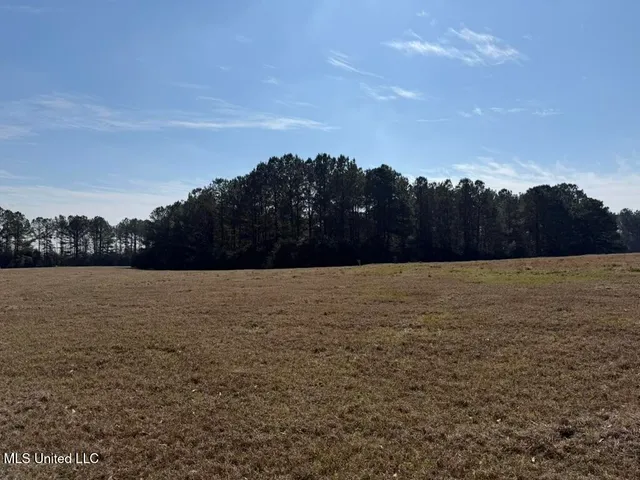 $148,000 | Water Tank Road, Sandy Hook, MS 39478