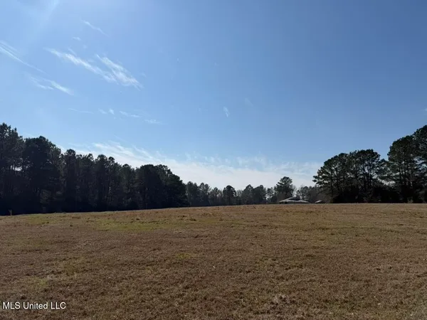 $148,000 | Water Tank Road, Sandy Hook, MS 39478