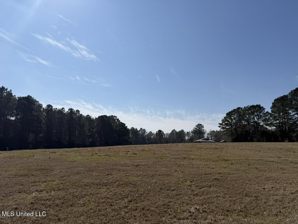 Water Tank Road Sandy Hook, MS 39478 - Photo 10 of 15 EE48457A-1787-4D82-A2A7-E9BE62A91D4A_1_1