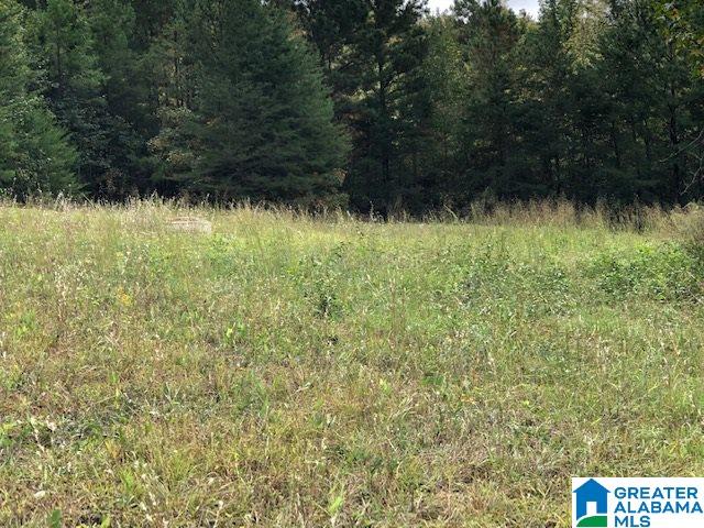 798 Starnes Chapel Road Blountsville, AL 35031 - Photo 18 of 22