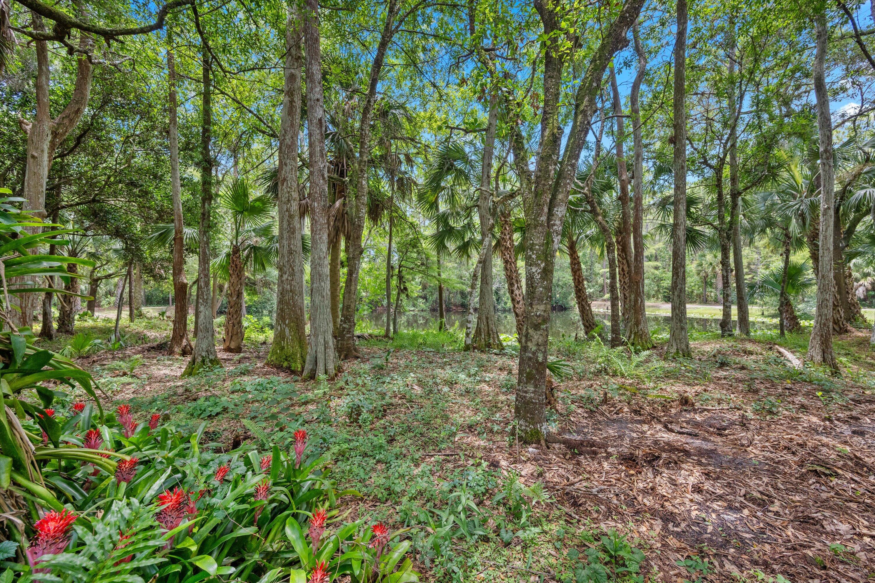 1255 B Road Loxahatchee Groves, FL 33470 - Photo 56 of 63 Natures Best