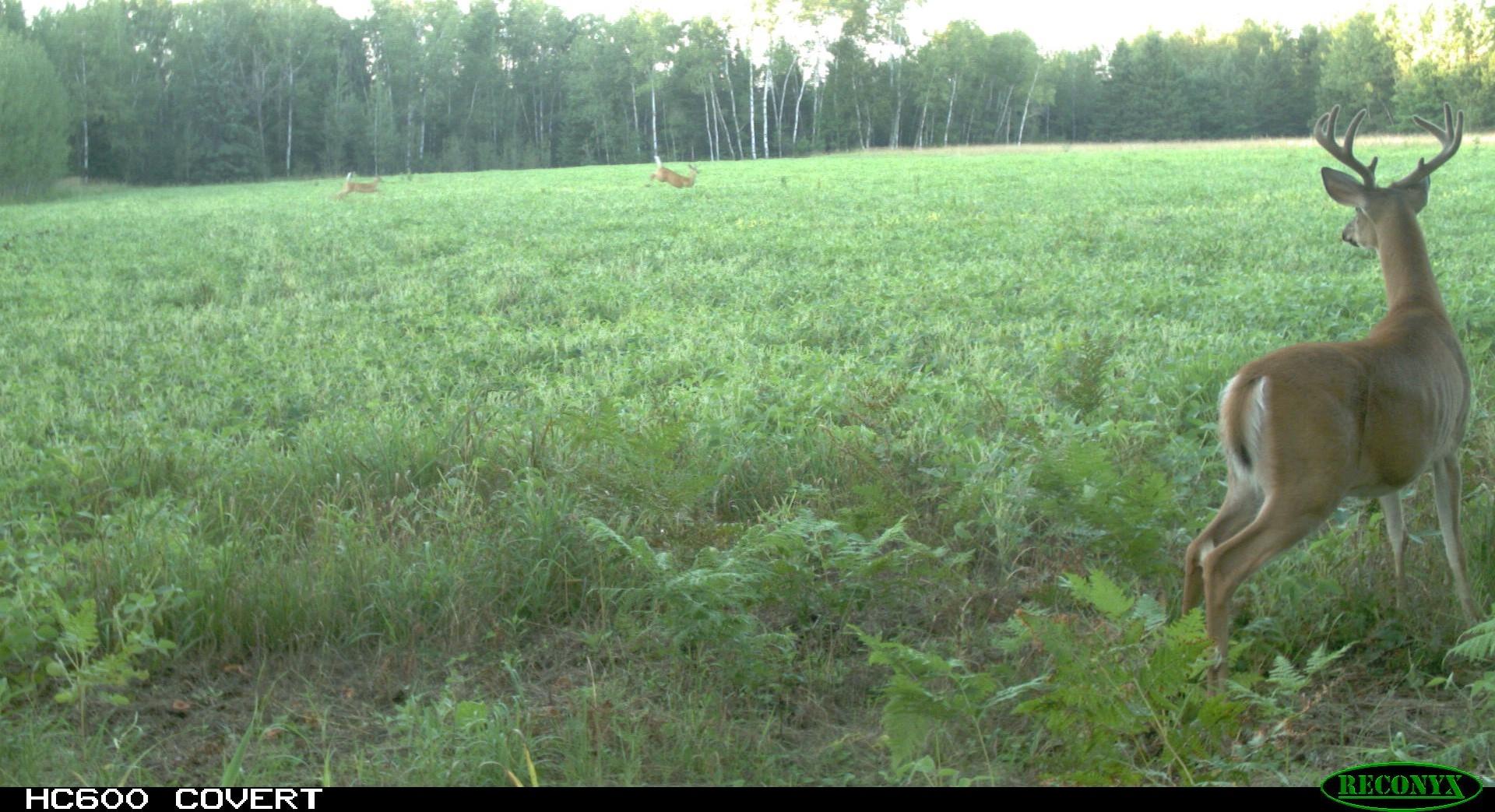 N11067 Cth F Phillips, WI 54555 - Photo 90 of 95 Gallery Image 90