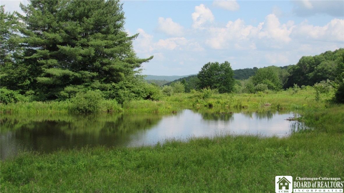 A Morgan Hollow Road Allegany, NY 14706 - Photo 1 of 1