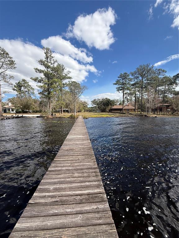 12518 Lake Mary Jane Road Orlando, FL 32832 - Photo 9 of 30 a park with water view