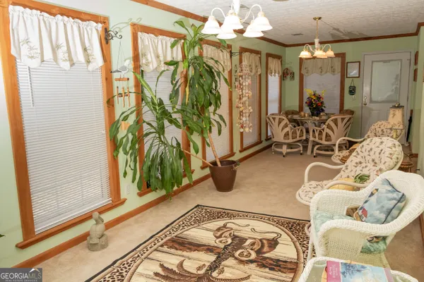 a view of a livingroom with furniture and a potted plant