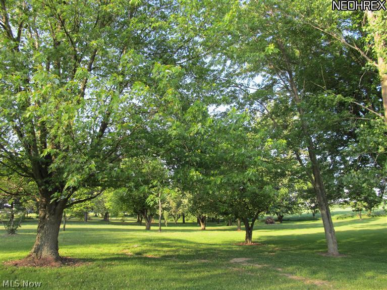 15501 Hayes Road Middlefield, OH 44062 - Photo 4 of 18