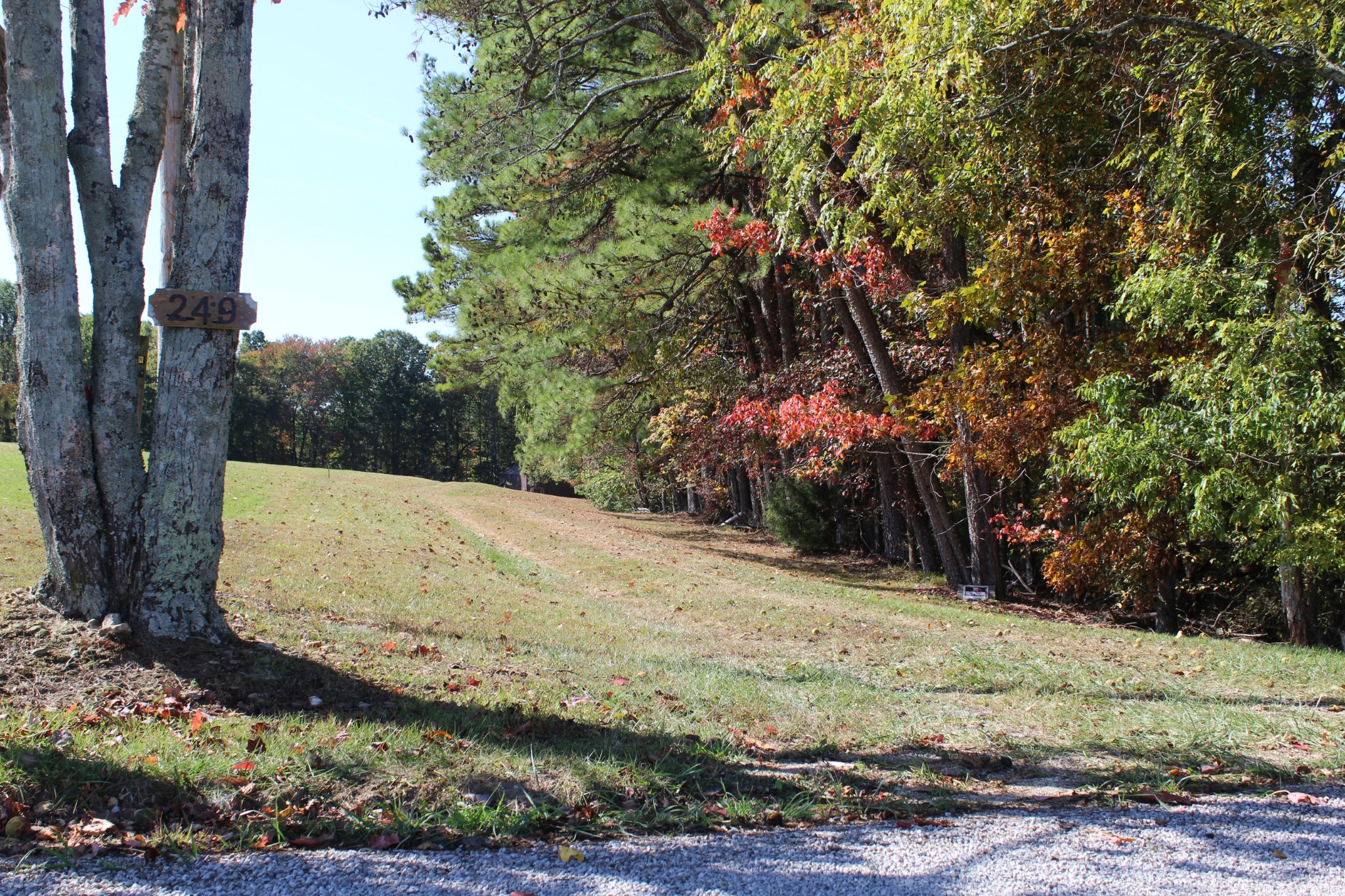 249 Claude Fox Road Lafayette, TN 37083 - Photo 2 of 68 a view of a backyard of the house