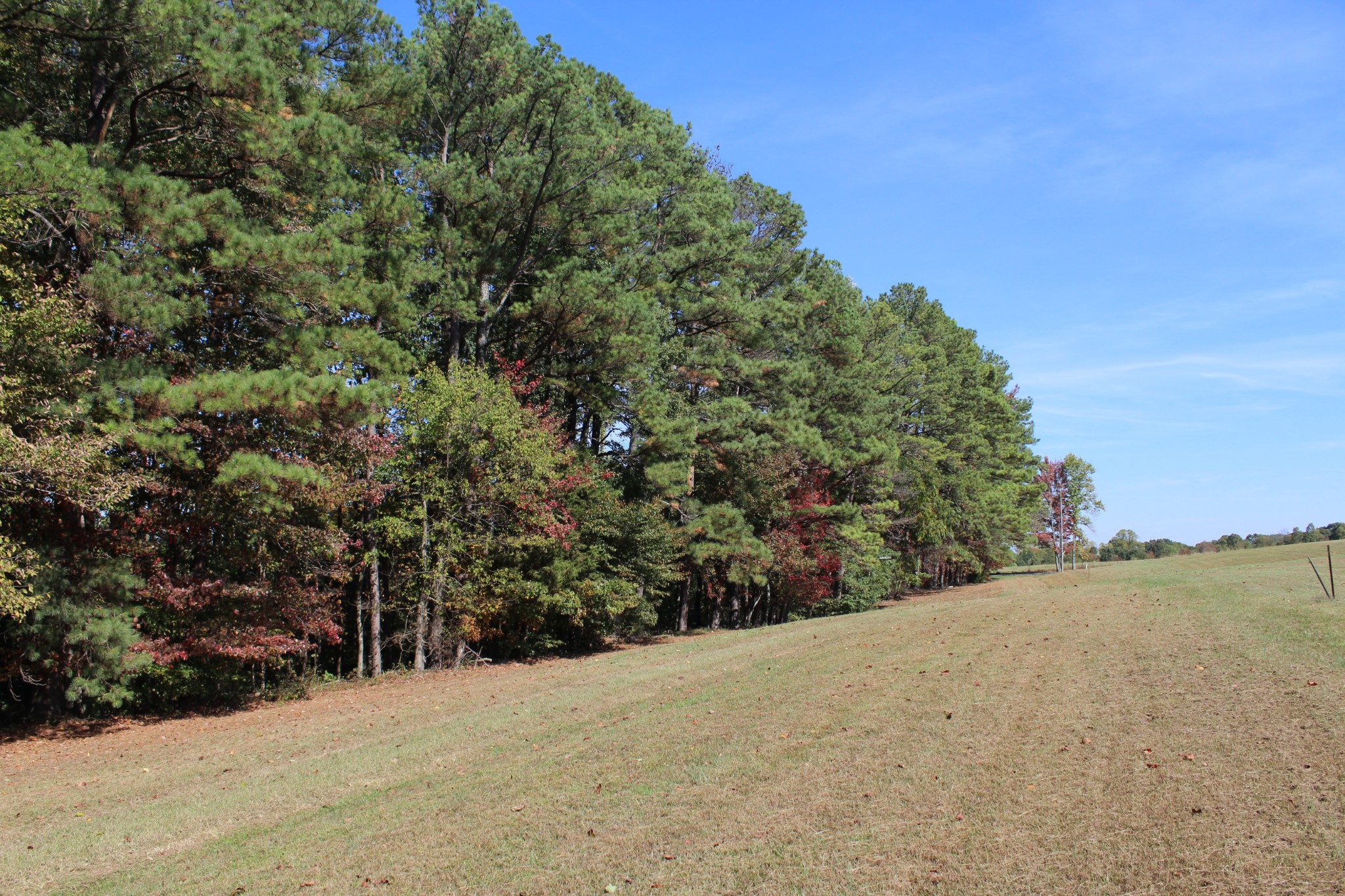 249 Claude Fox Road Lafayette, TN 37083 - Photo 3 of 68 a view of a dry yard with trees in the background