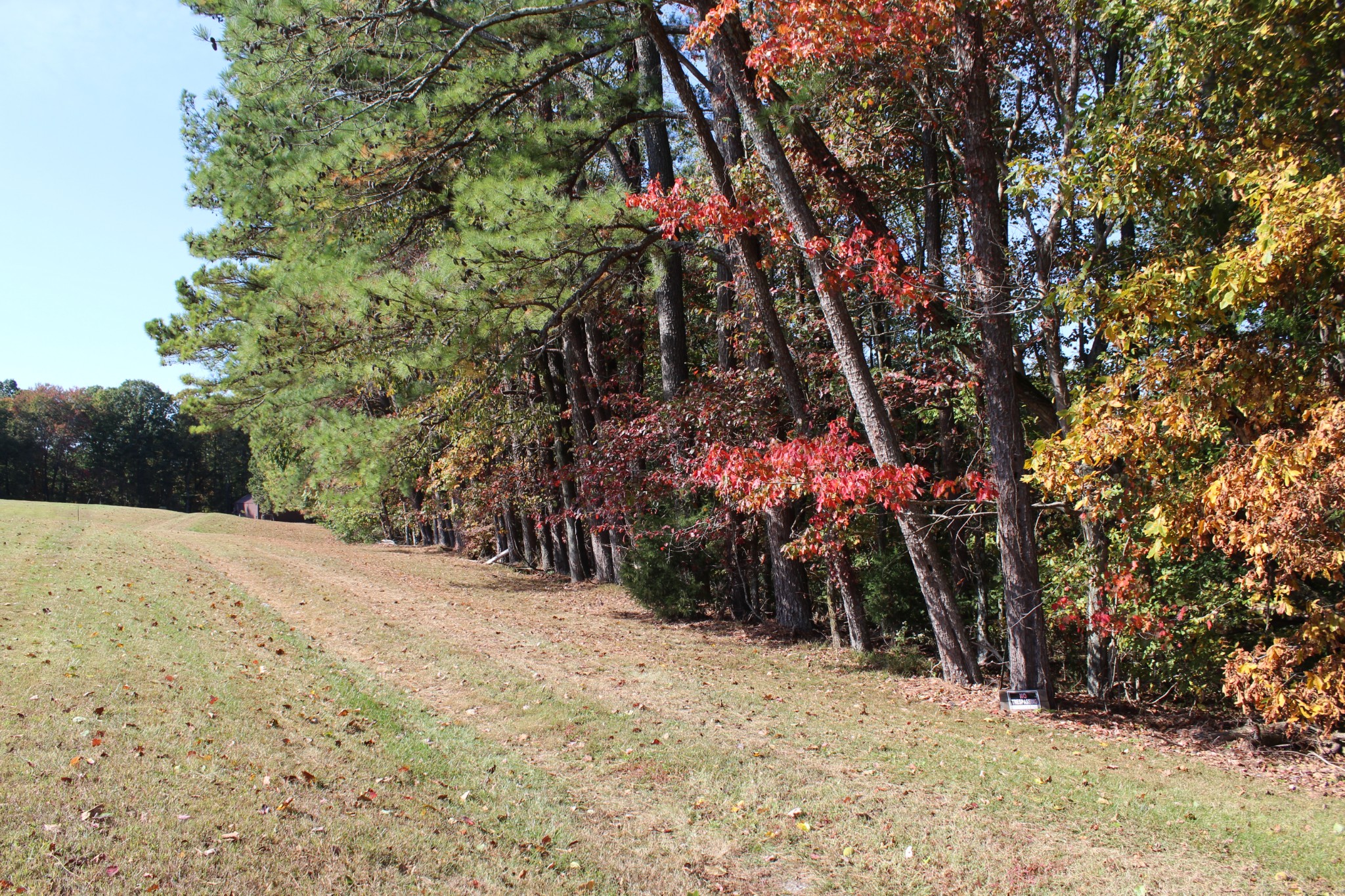 249 Claude Fox Road Lafayette, TN 37083 - Photo 4 of 68 a backyard of a house with lots of green space
