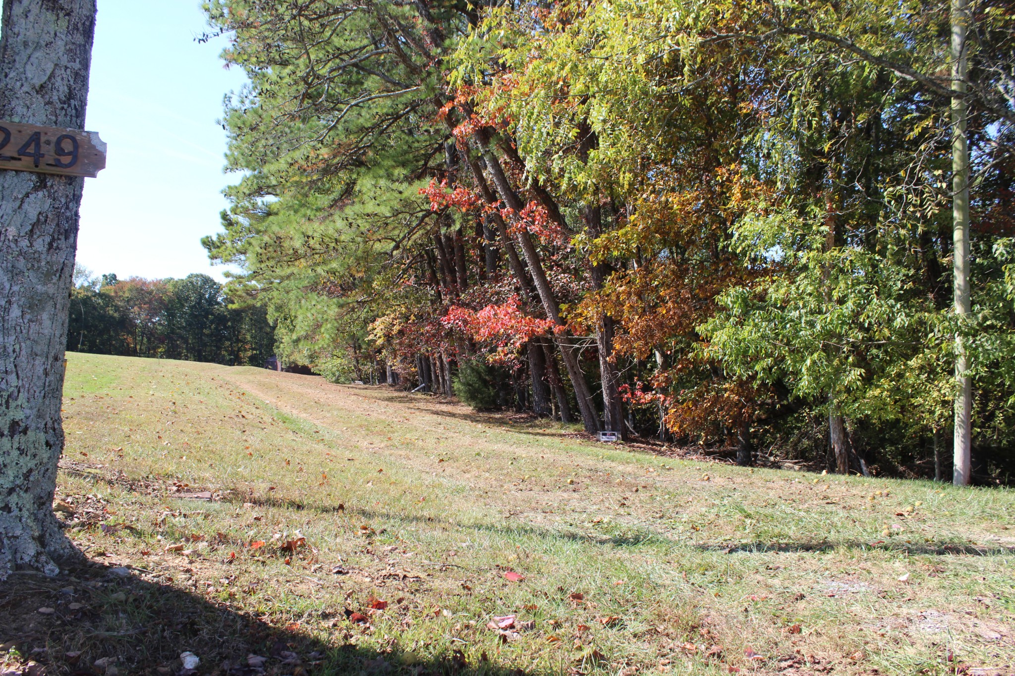 249 Claude Fox Road Lafayette, TN 37083 - Photo 67 of 68 a view of a yard covered with snow in front of house