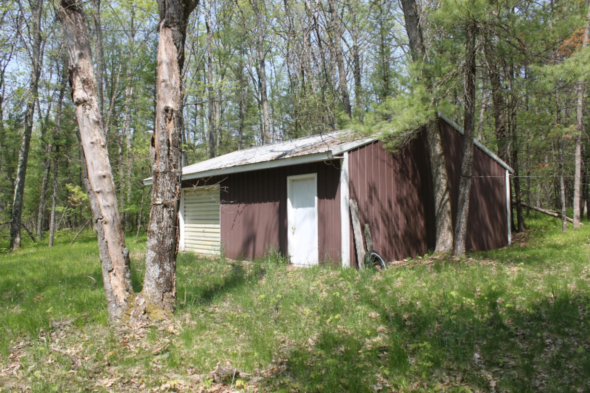 7589 North Irons Road Irons, MI 49644 - Photo 4 of 17 IMG_8155