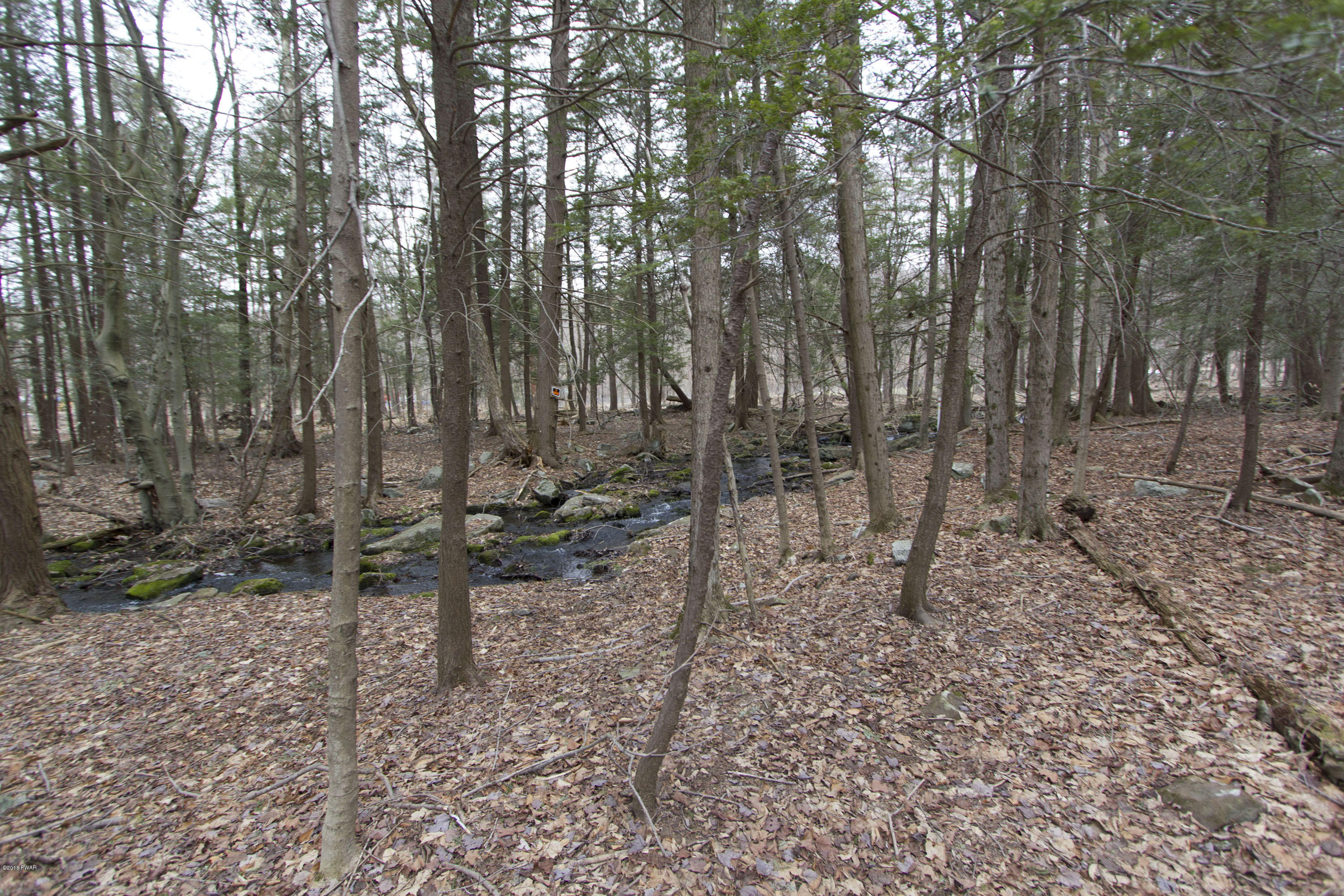 17 Riviera Drive Newfoundland, PA 18445 - Photo 4 of 7