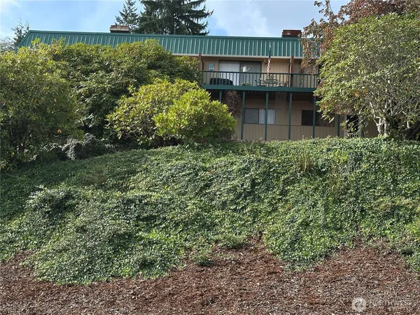 a view of a house with a yard and plants