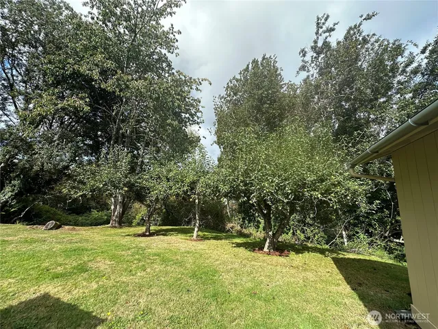 a house with trees in the background