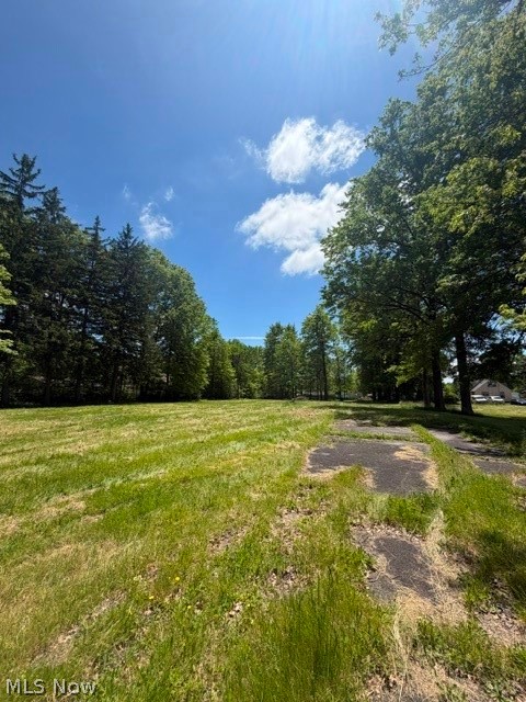3503 Parkman Road Northwest Warren, OH 44481 - Photo 23 of 27