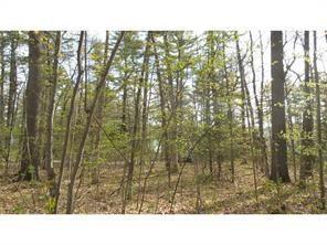 0 Indian Village Road Shapleigh, ME 04076 - Photo 3 of 6 Photo