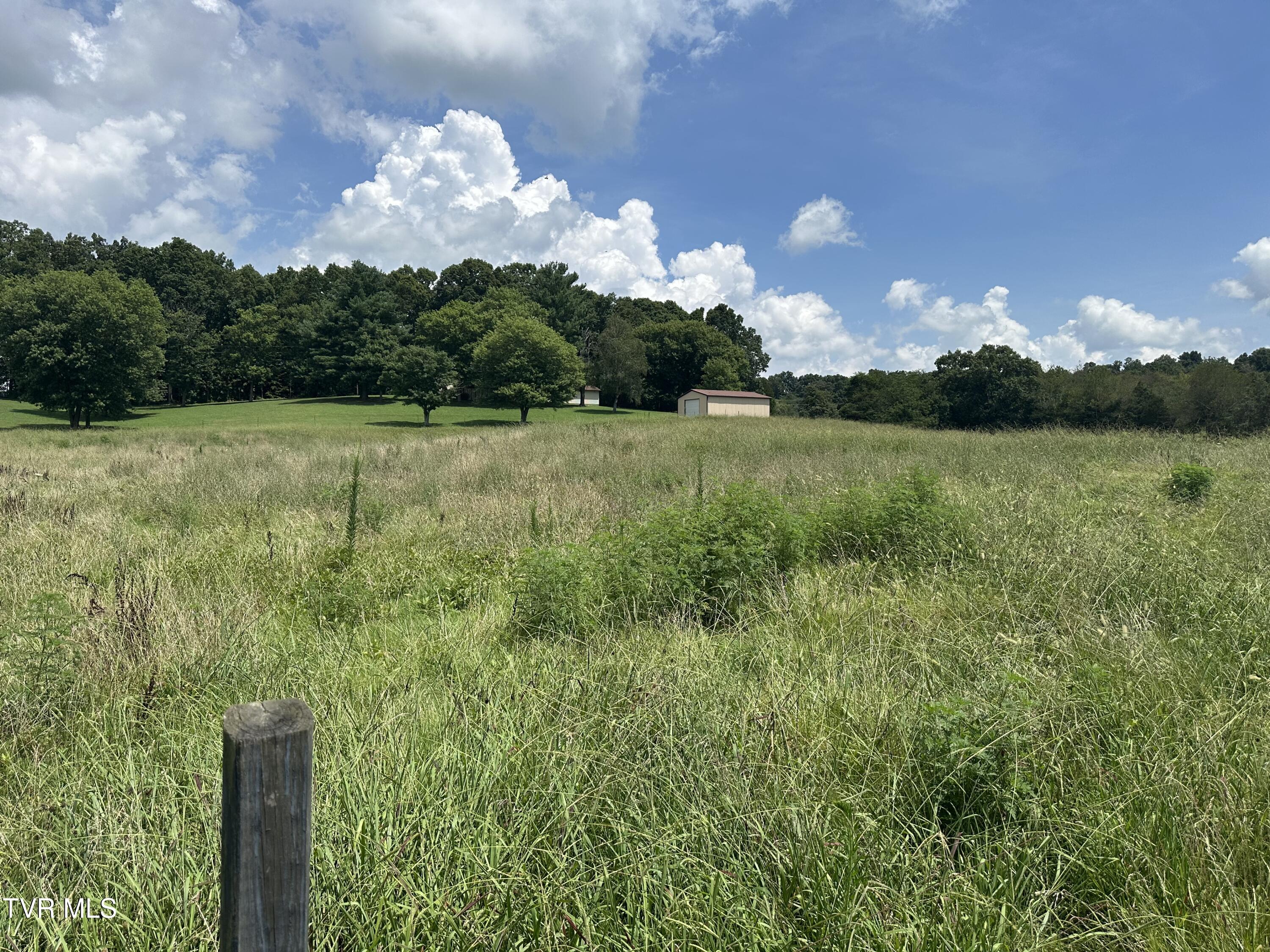 Lot 1 Shackleford Road Mosheim, TN 37818 - Photo 3 of 13 IMG_6810