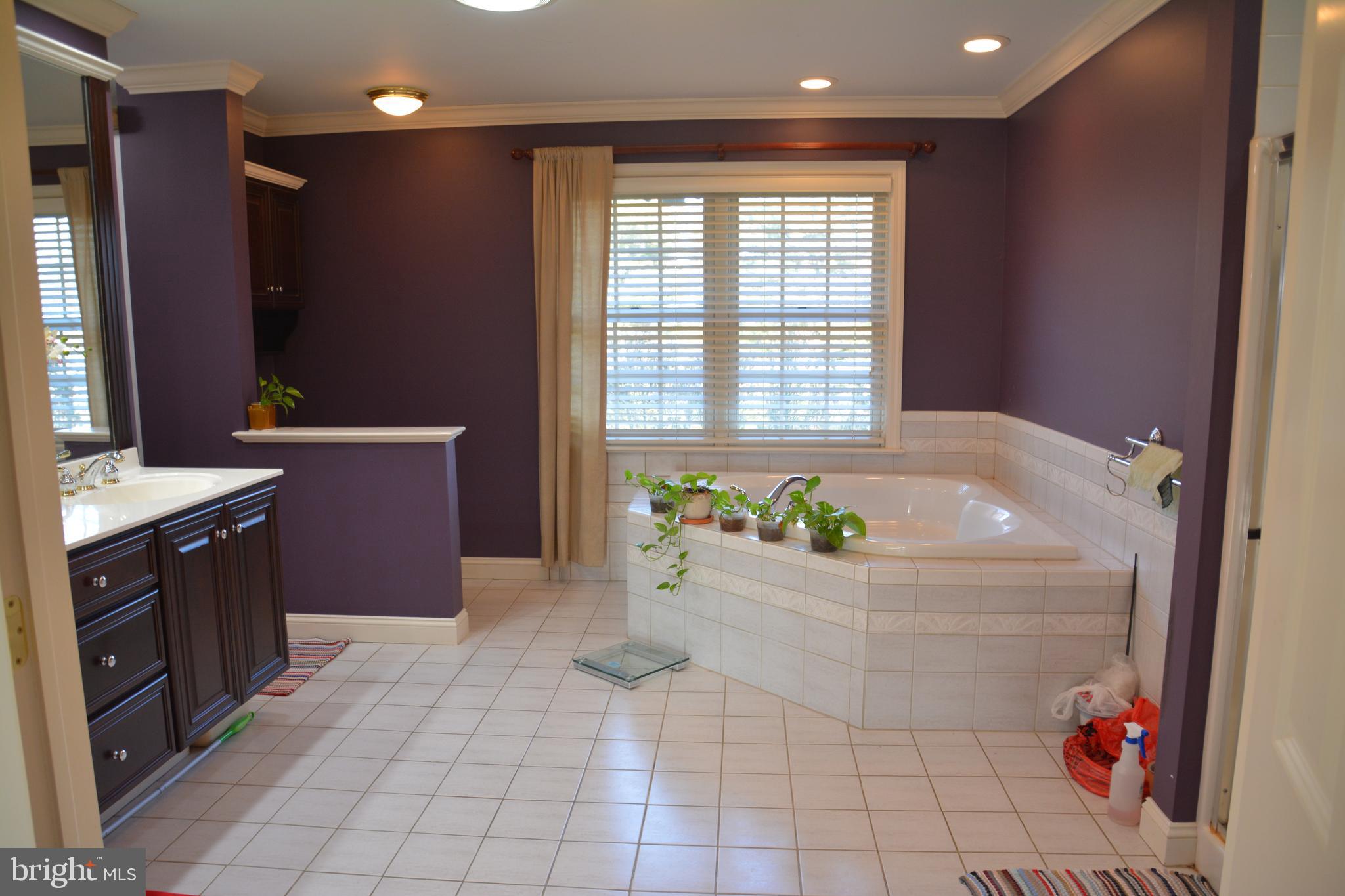 1215 Landis Valley Road Lancaster, PA 17601 - Photo 23 of 43 Master Bath (whirlpool!)
