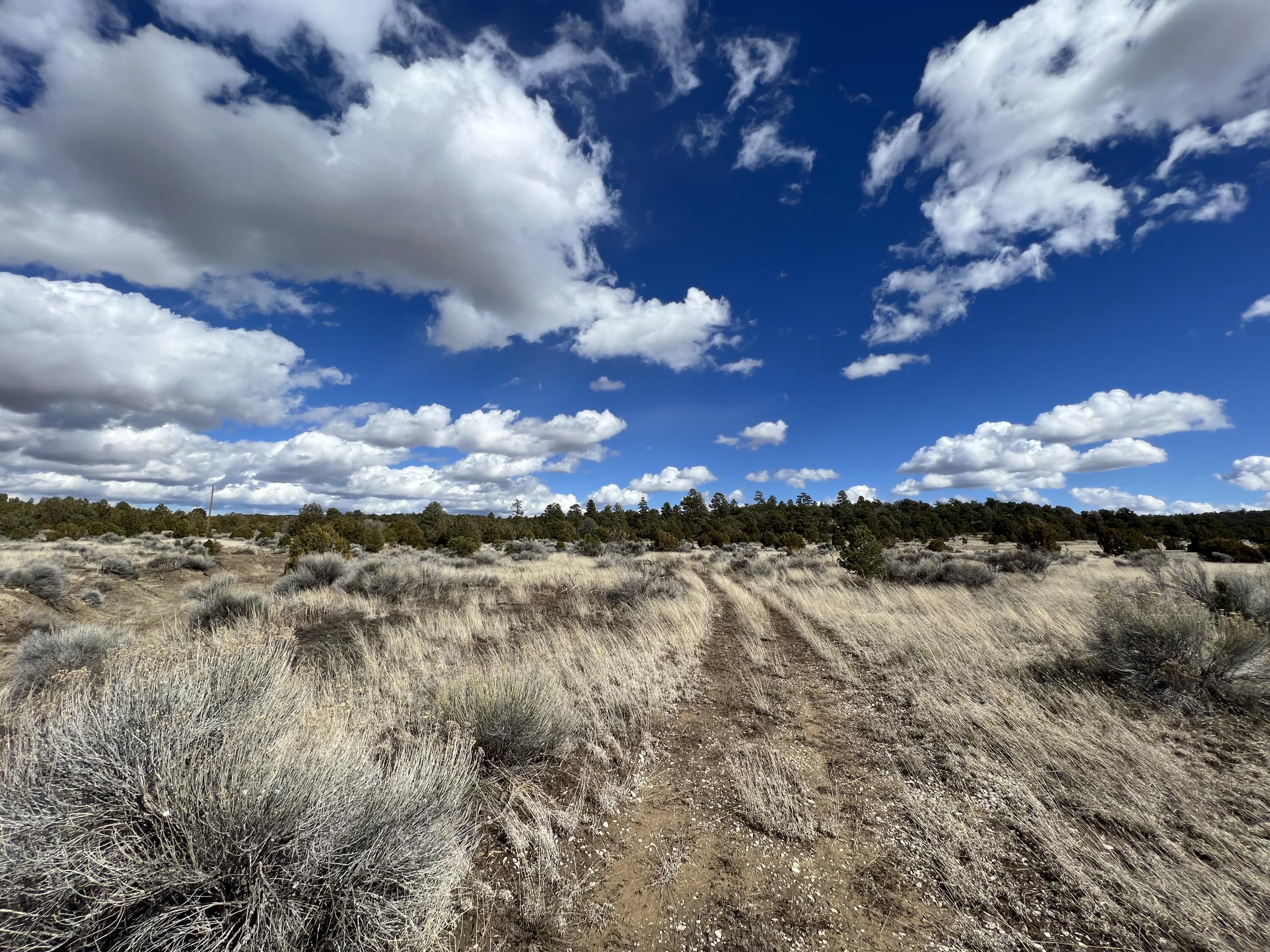 Lot 14 Candy Kitchen Road Ramah, NM 87357 - Photo 28 of 41 Gallery Image 28