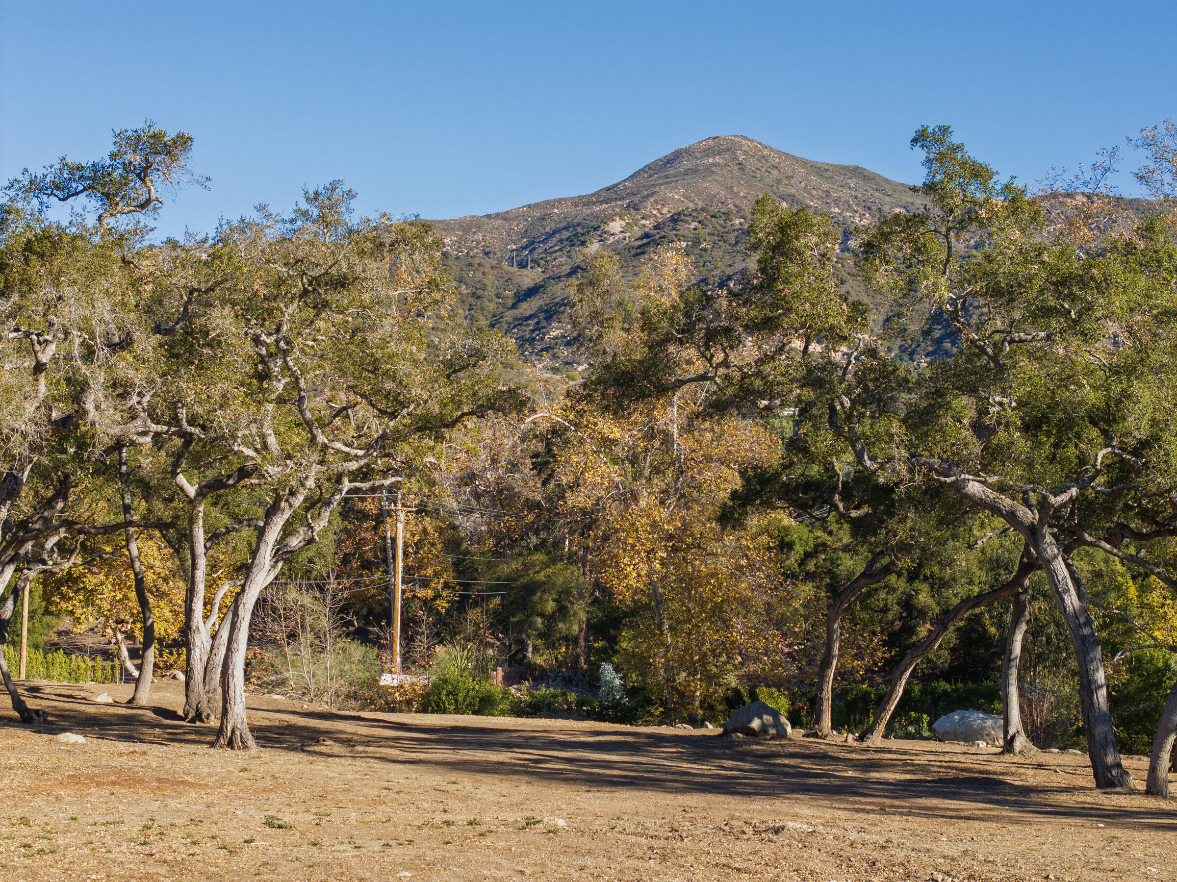 780 Ashley Road Montecito, CA 93108 - Photo 5 of 9 a view of a yard with a tree