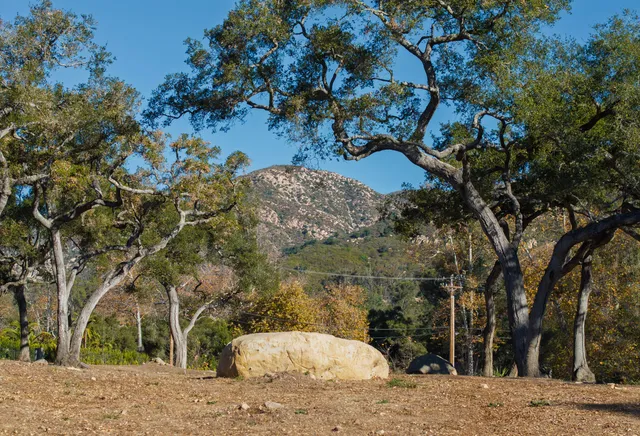 a view of a backyard of the house