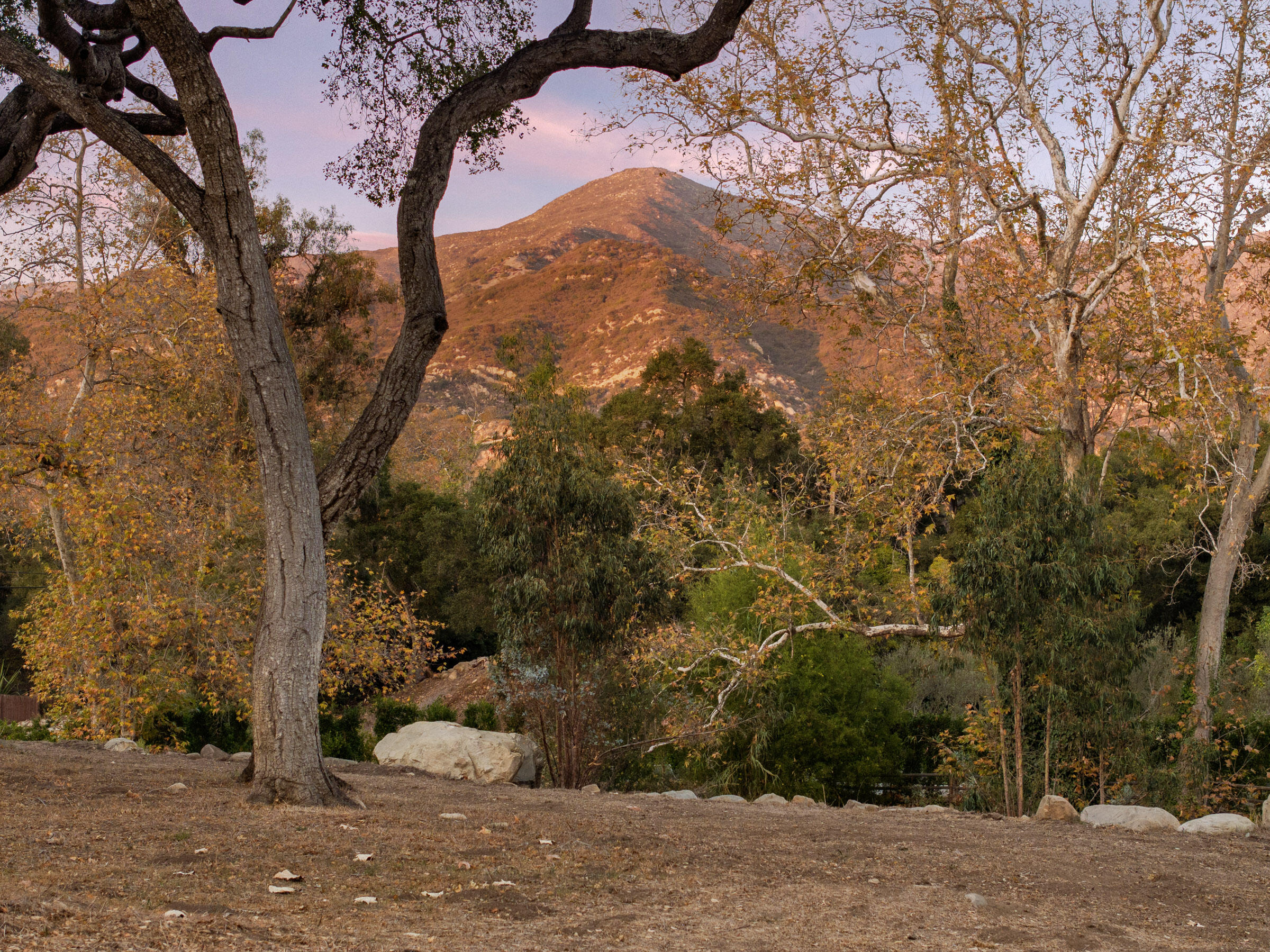 780 Ashley Road Montecito, CA 93108 - Photo 9 of 9 a view of a yard with a tree