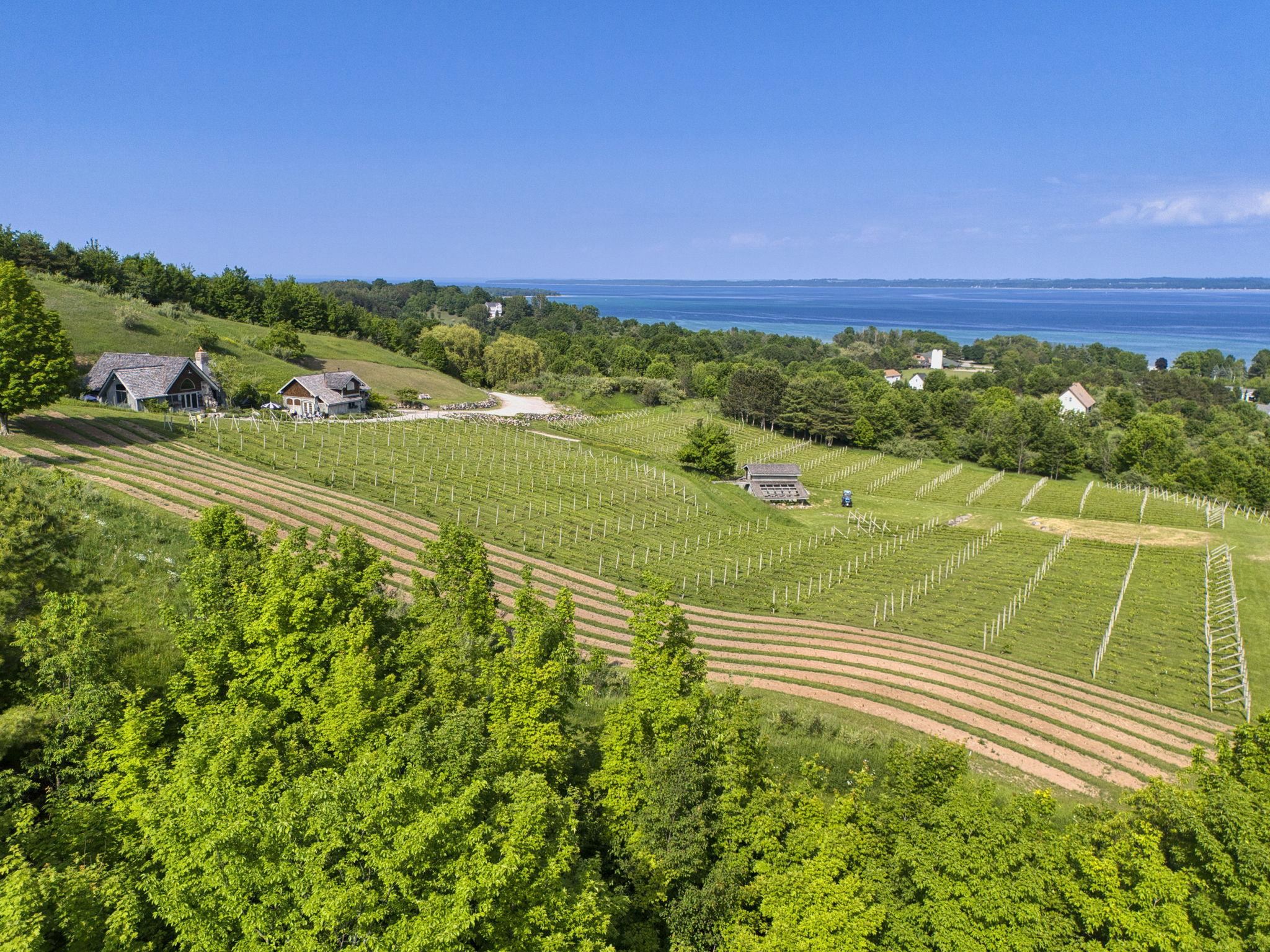 10702 East Hilltop Road Suttons Bay, MI 49682 - Photo 80 of 92