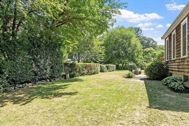 a view of a backyard