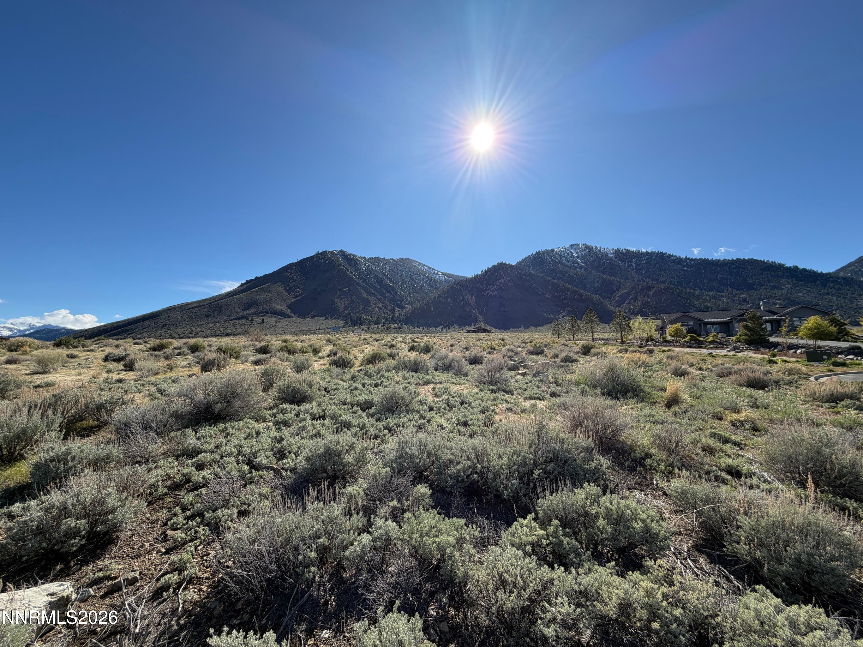 2953 Jacks Court, Unit 71 Genoa, NV 89411 - Photo 6 of 13 a view of a large trees with mountains in the background