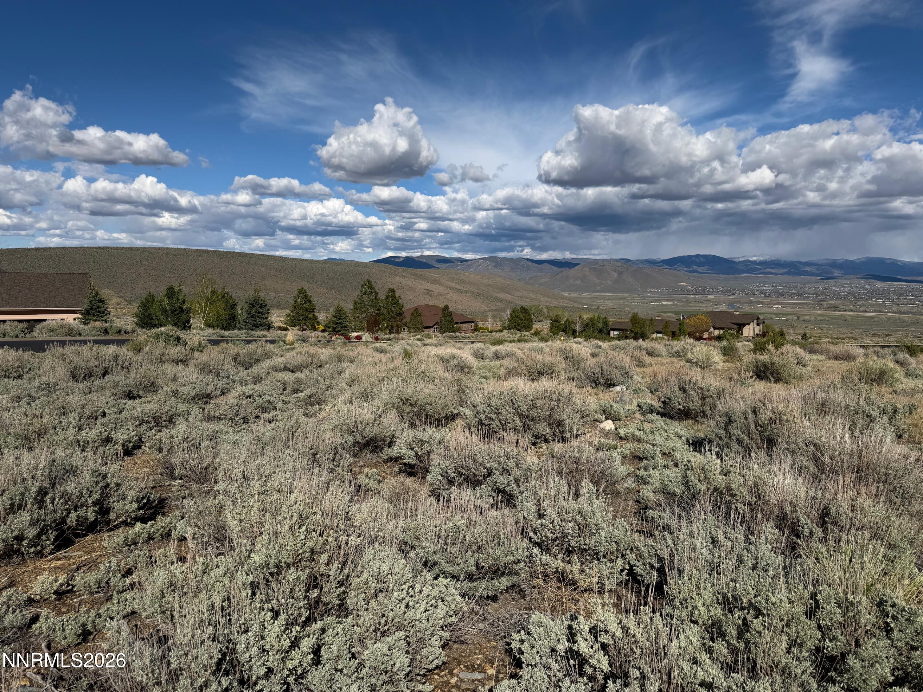 2953 Jacks Court, Unit 71 Genoa, NV 89411 - Photo 9 of 13 a view of a dry yard with lots of trees