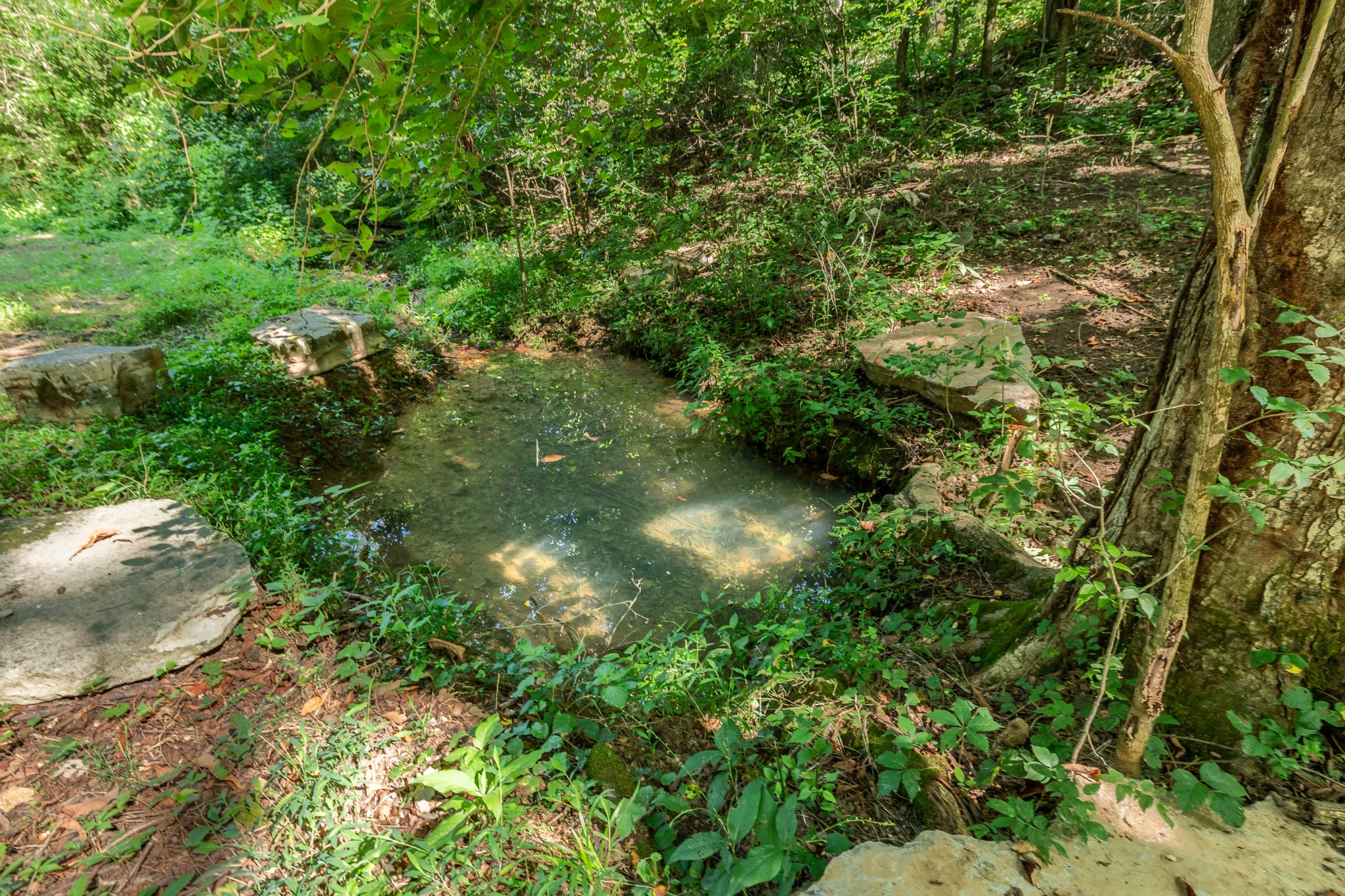 2952 Springplace Road Belfast, TN 37019 - Photo 11 of 45 Gallery Image 11
