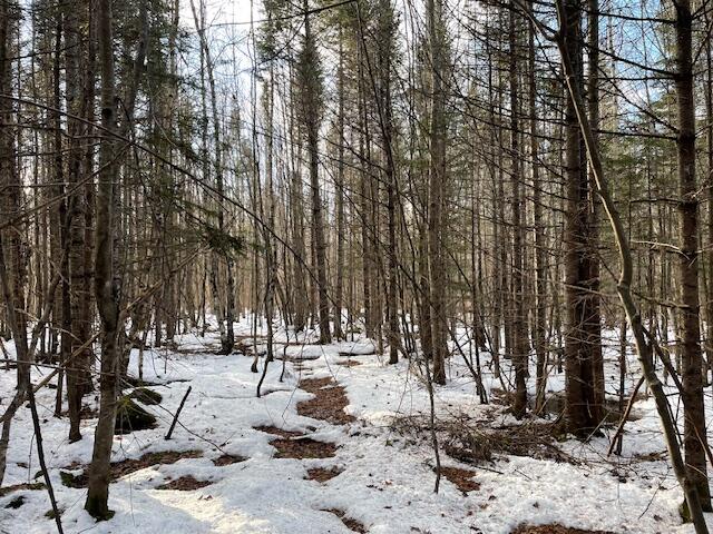 M7-l4 Ward Ridge Road Wellington, ME 04942 - Photo 5 of 14 IMG_8635