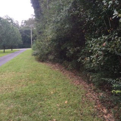 0 Bruhn Road Elberta, AL 36530 - Photo 5 of 7