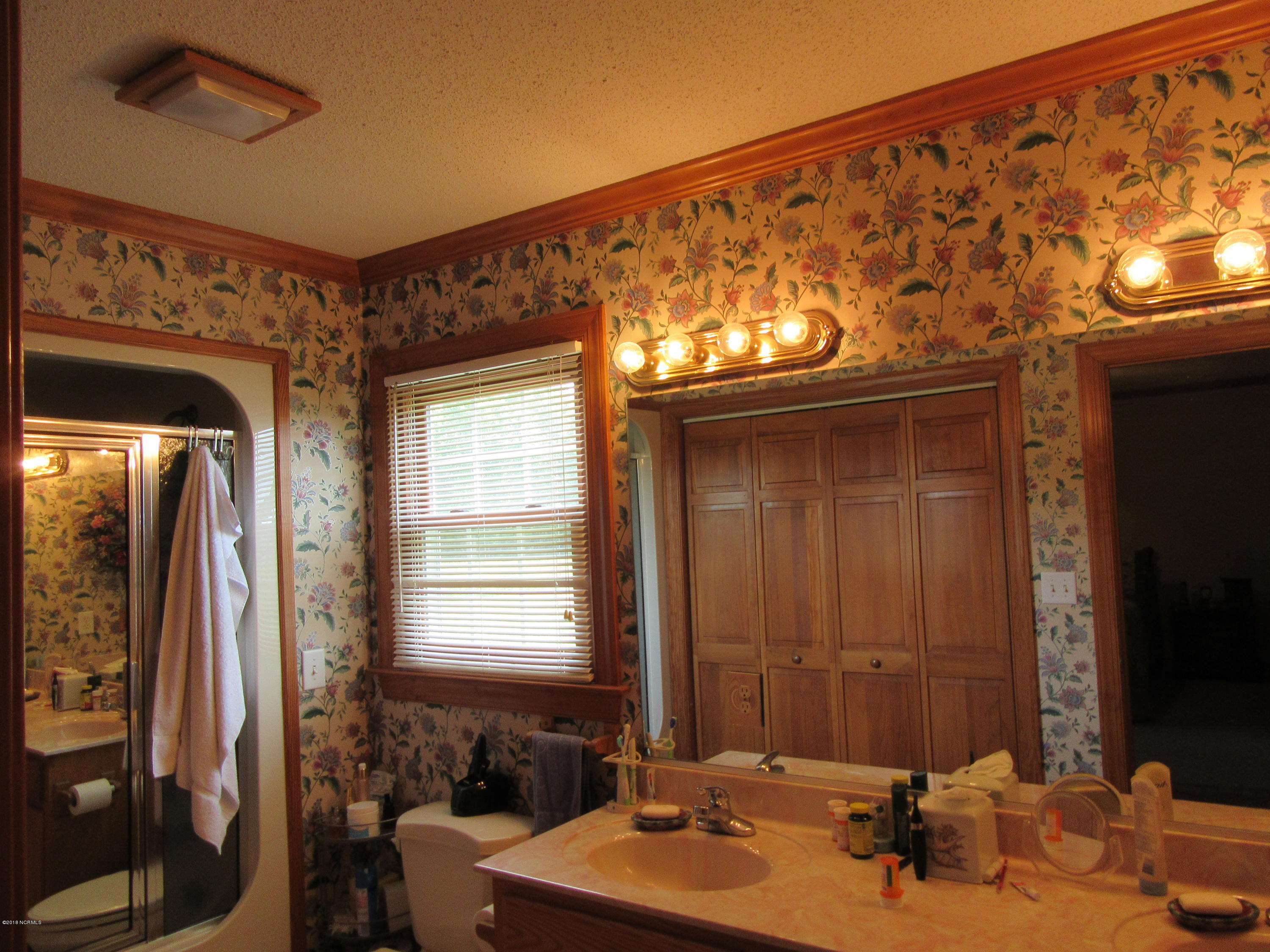 1101 South Croom Bland Road Kinston, NC 28504 - Photo 14 of 47 MASTER BATH