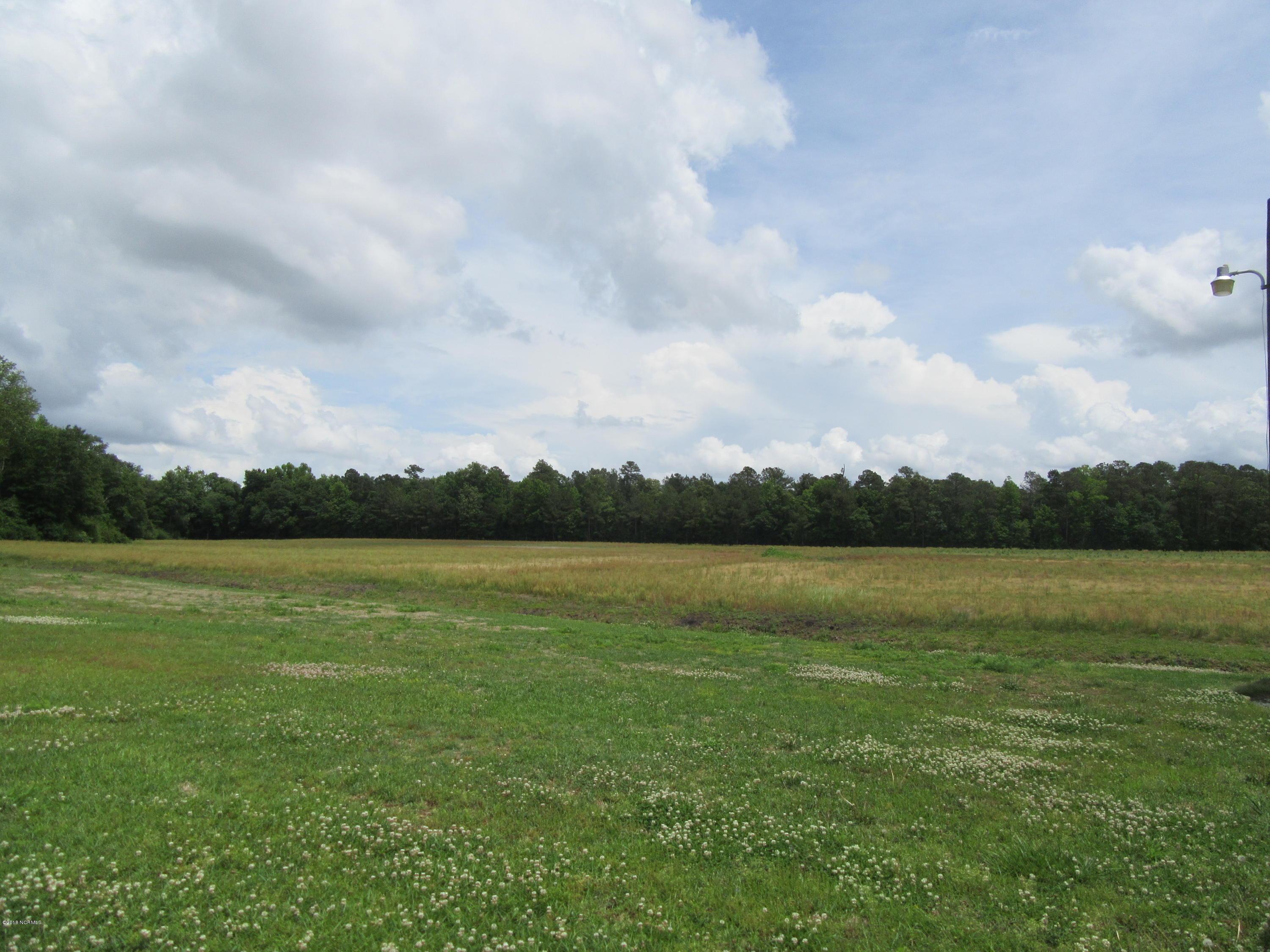 1101 South Croom Bland Road Kinston, NC 28504 - Photo 42 of 47 BACKYARD