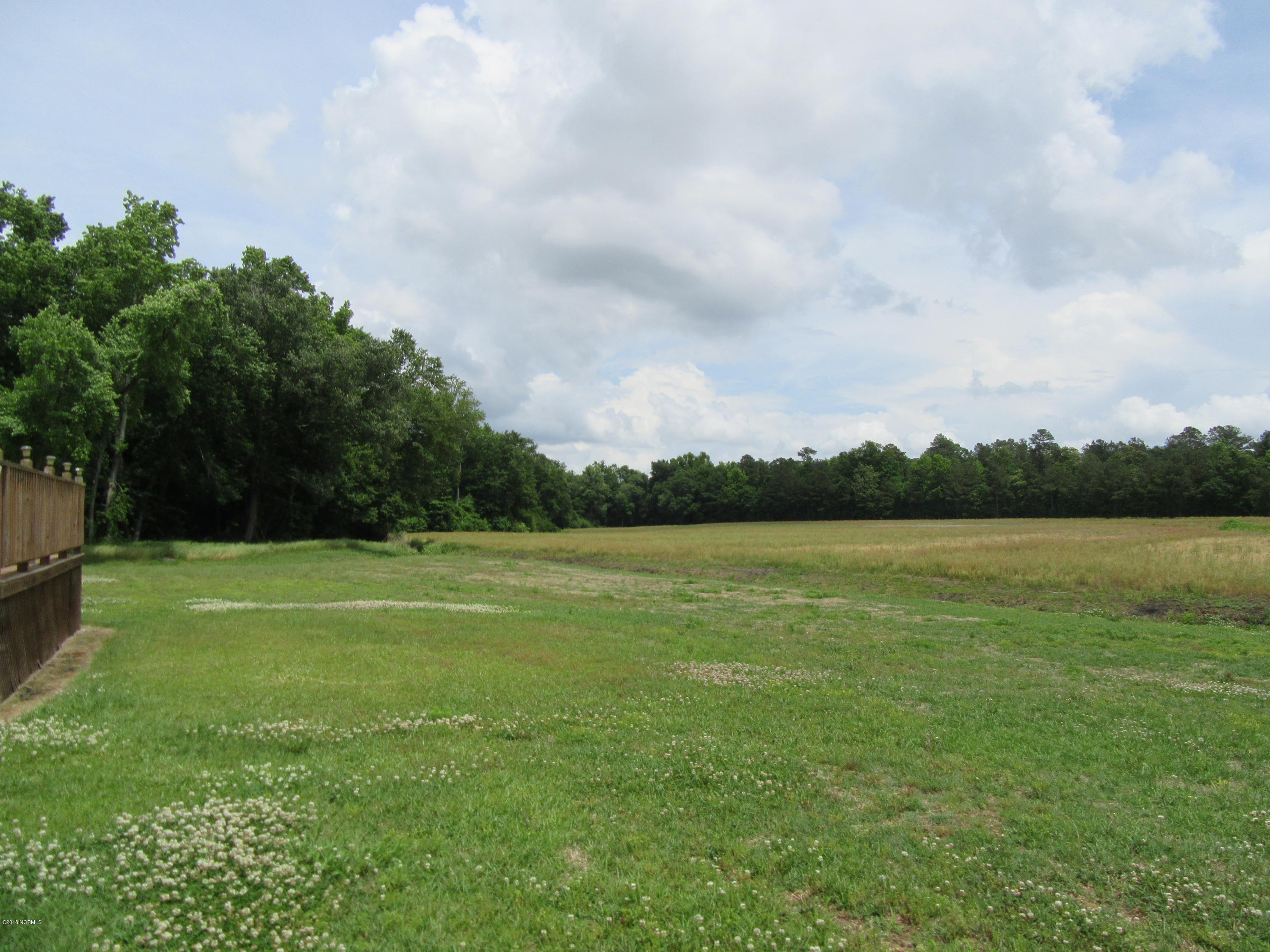 1101 South Croom Bland Road Kinston, NC 28504 - Photo 43 of 47 BACKYARD
