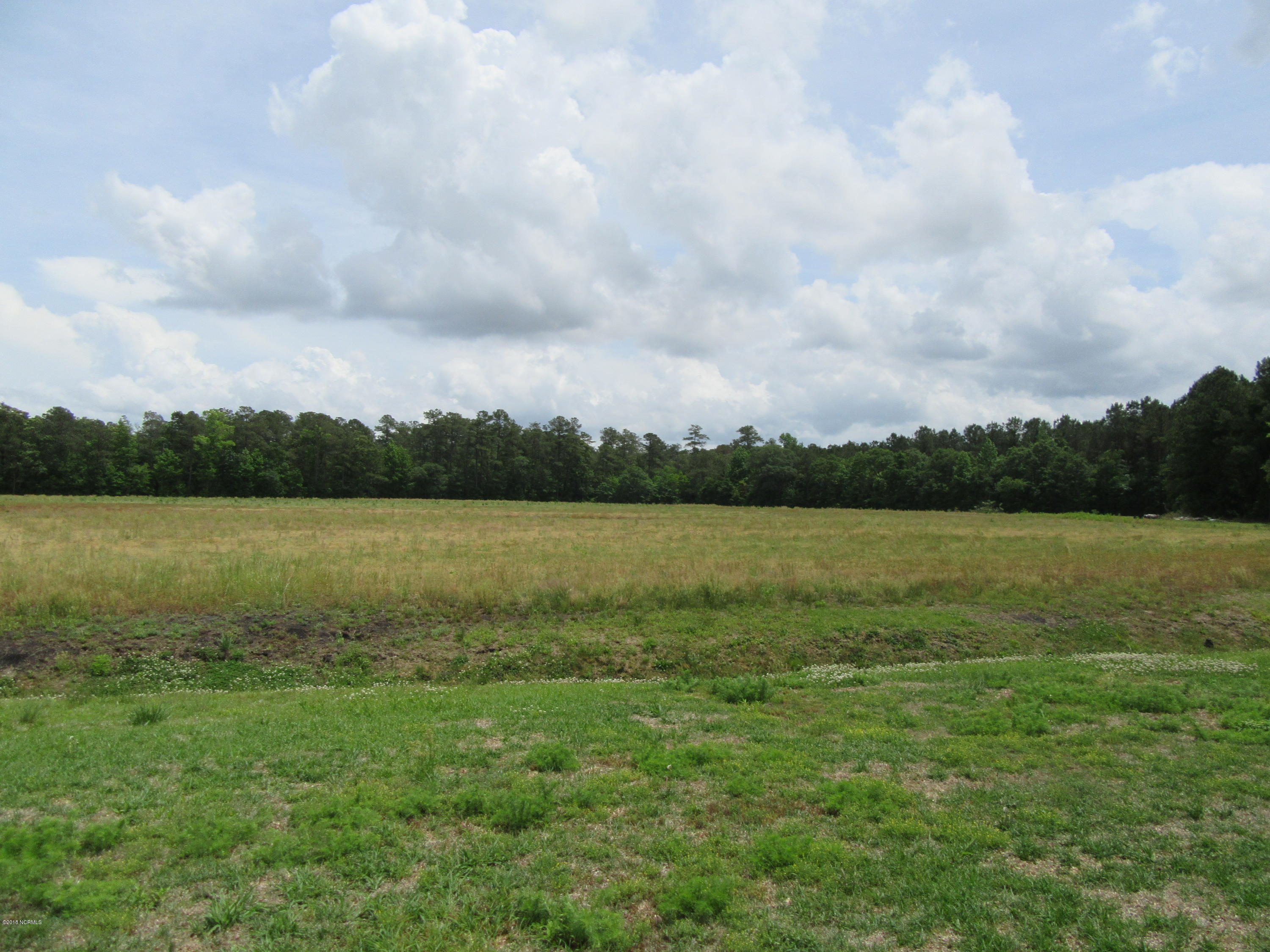 1101 South Croom Bland Road Kinston, NC 28504 - Photo 44 of 47 BACKYARD