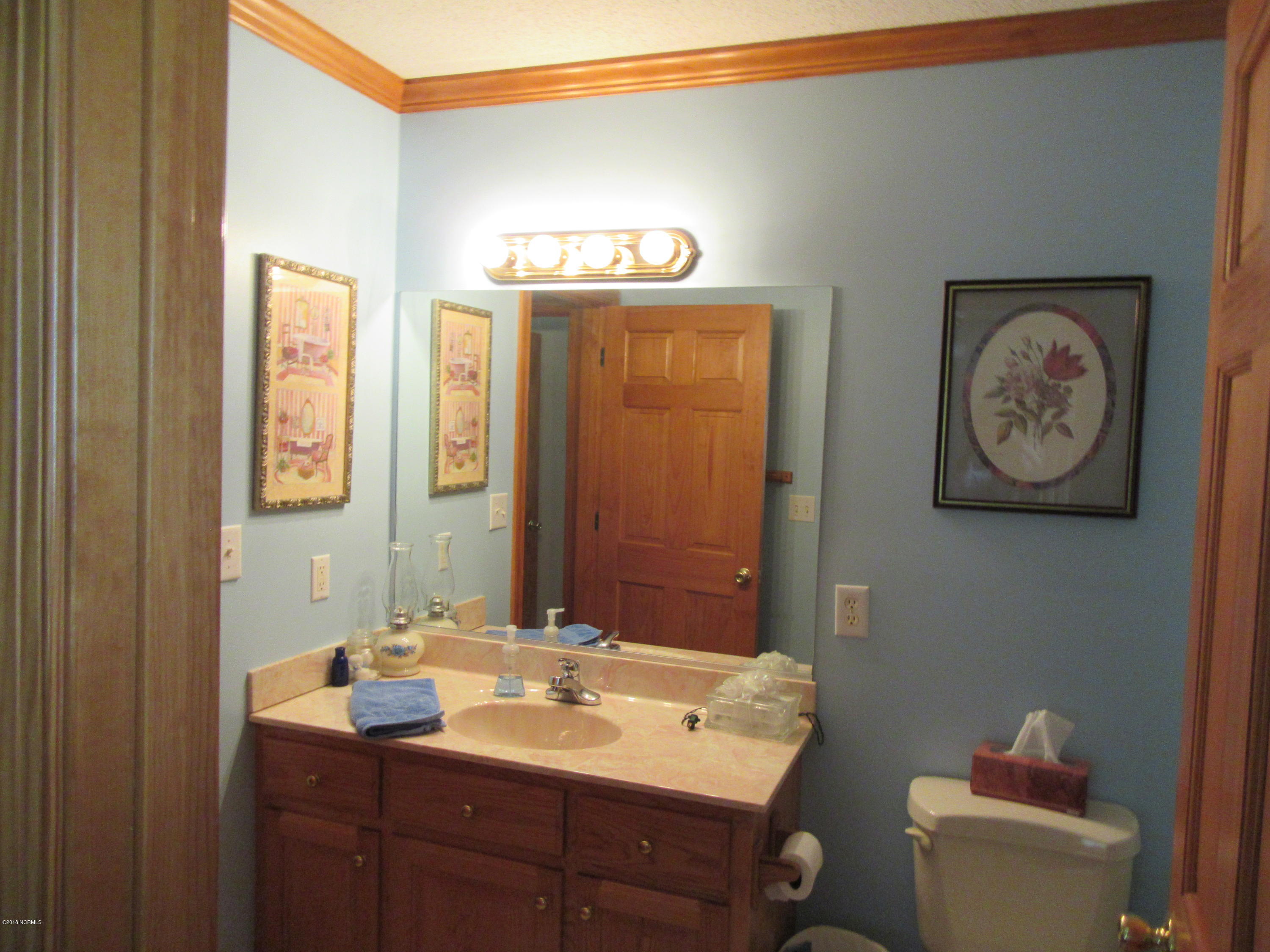 1101 South Croom Bland Road Kinston, NC 28504 - Photo 9 of 47 GUEST BATH