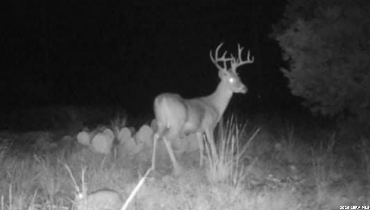 2197 Sd 45340 Rocksprings, TX 78880 - Photo 12 of 37 a close view of light fixtures