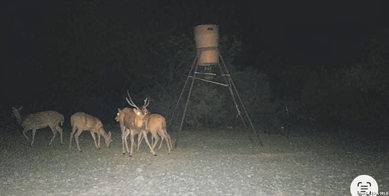 2197 Sd 45340 Rocksprings, TX 78880 - Photo 14 of 37