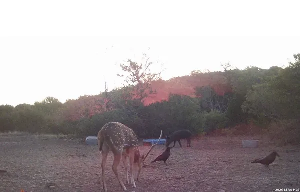 a view of a dry field