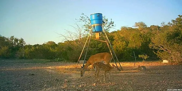 a view of a yard with an outdoor space