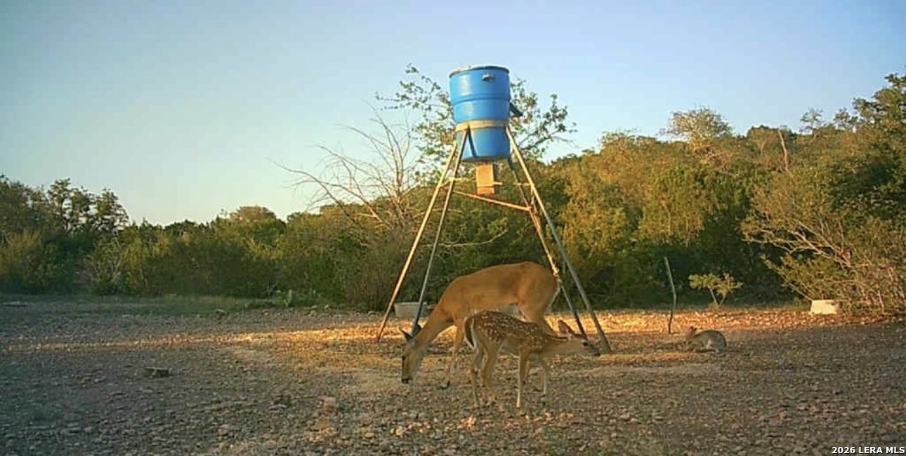 2197 Sd 45340 Rocksprings, TX 78880 - Photo 23 of 37