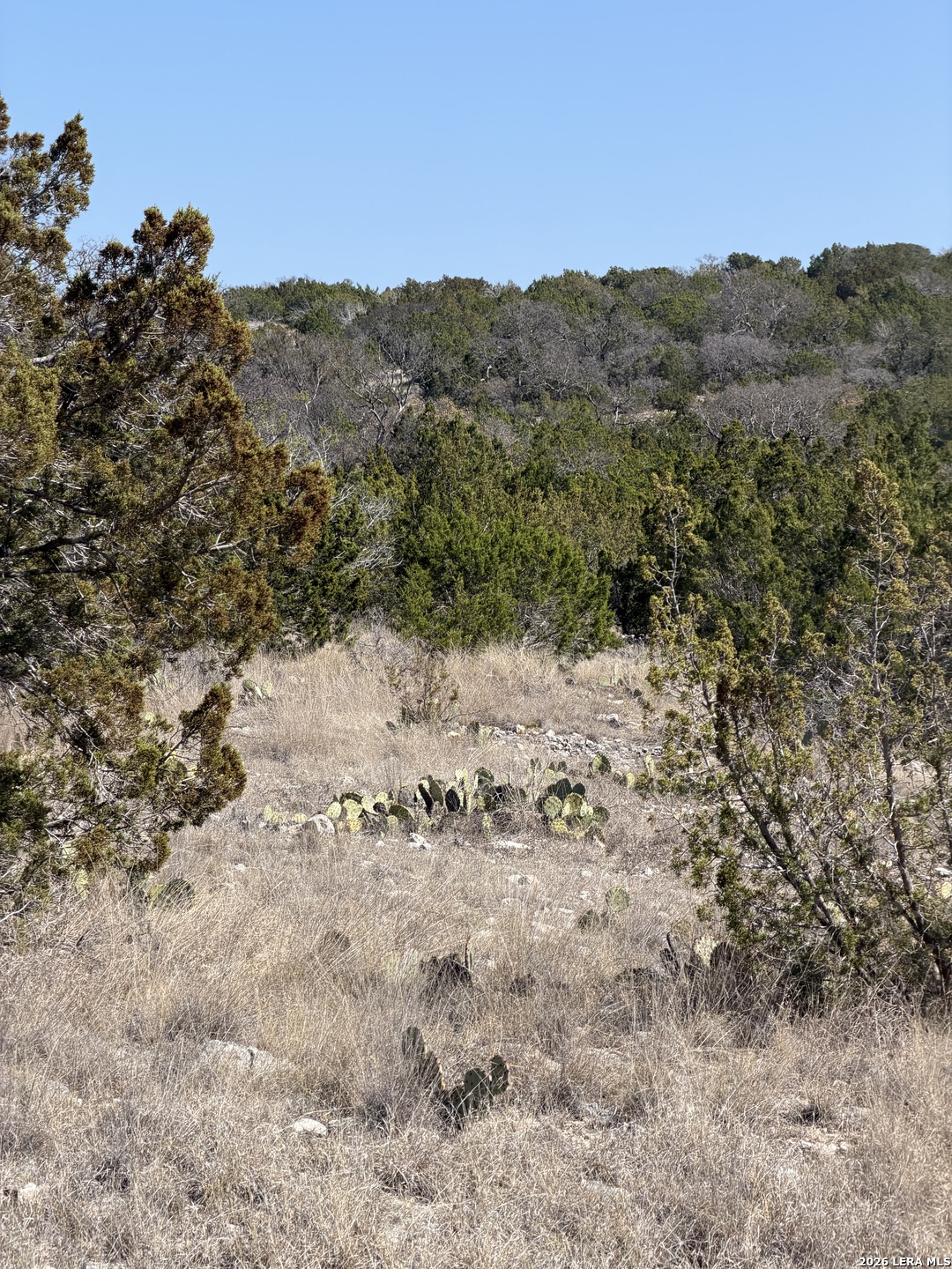 2197 Sd 45340 Rocksprings, TX 78880 - Photo 24 of 37 a view of a dry field