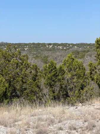 a view of a yard with a mountain