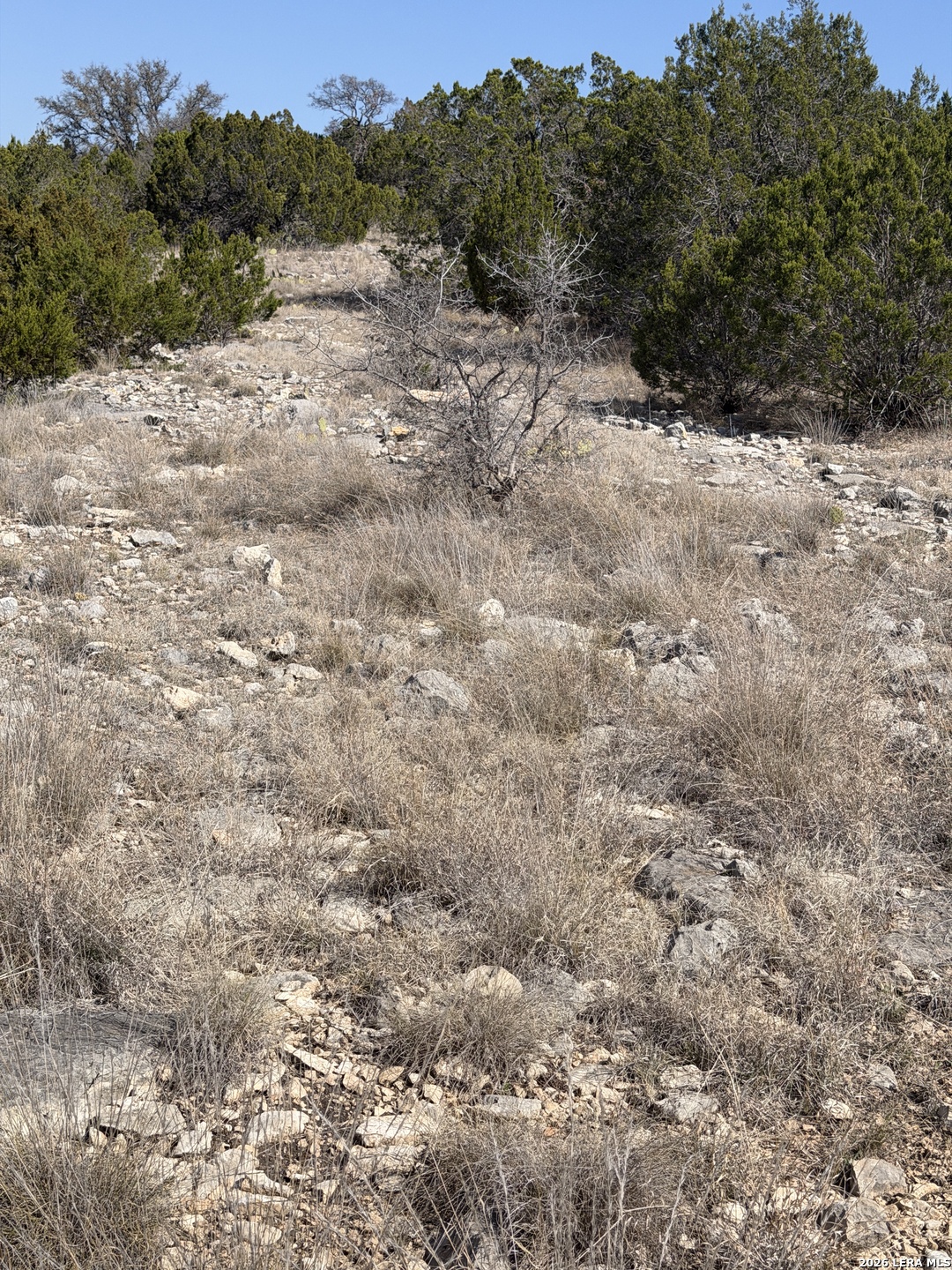 2197 Sd 45340 Rocksprings, TX 78880 - Photo 28 of 37 a view of a dry yard with trees in the background