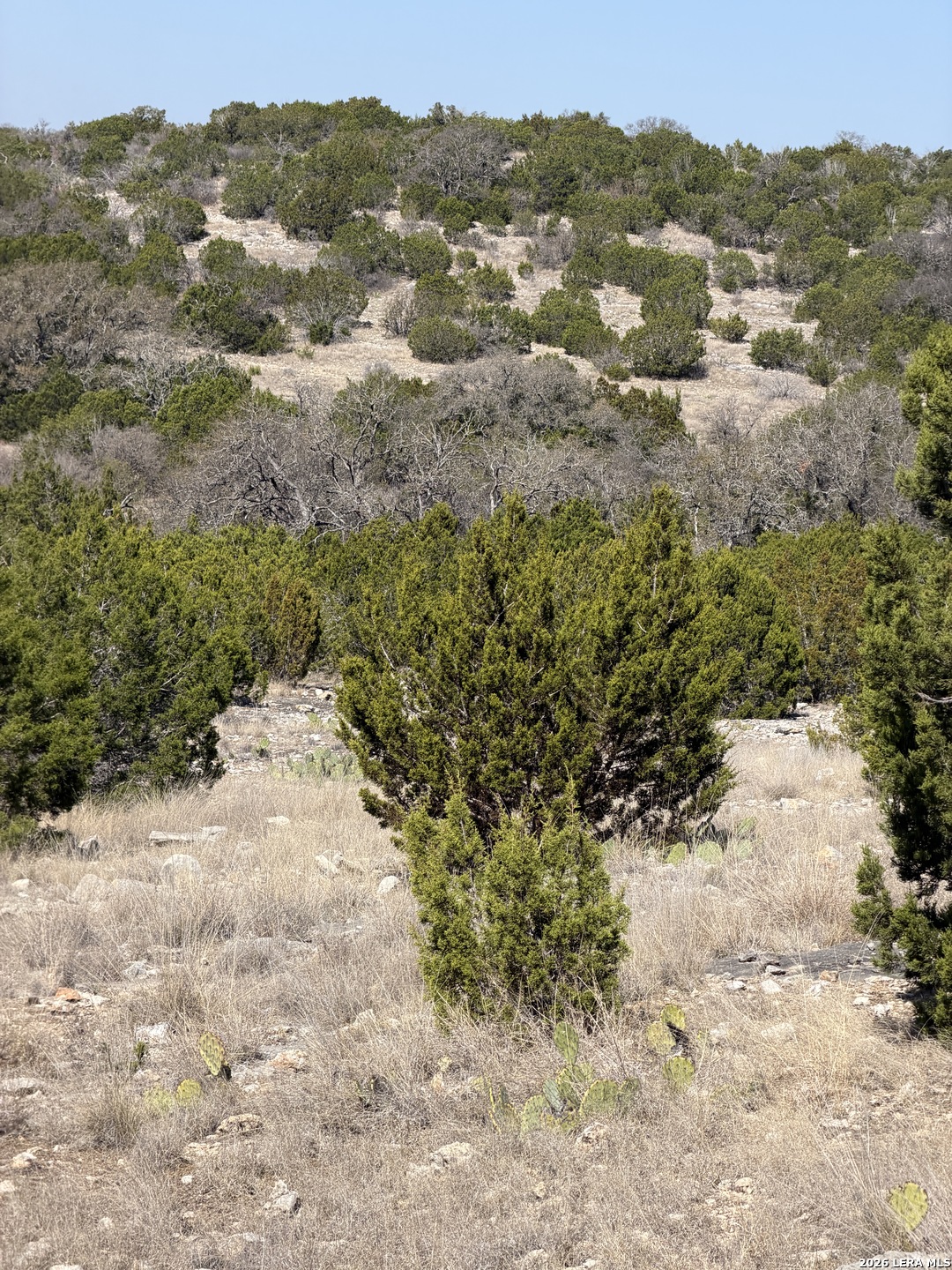 2197 Sd 45340 Rocksprings, TX 78880 - Photo 32 of 37 a view of a yard with a mountain