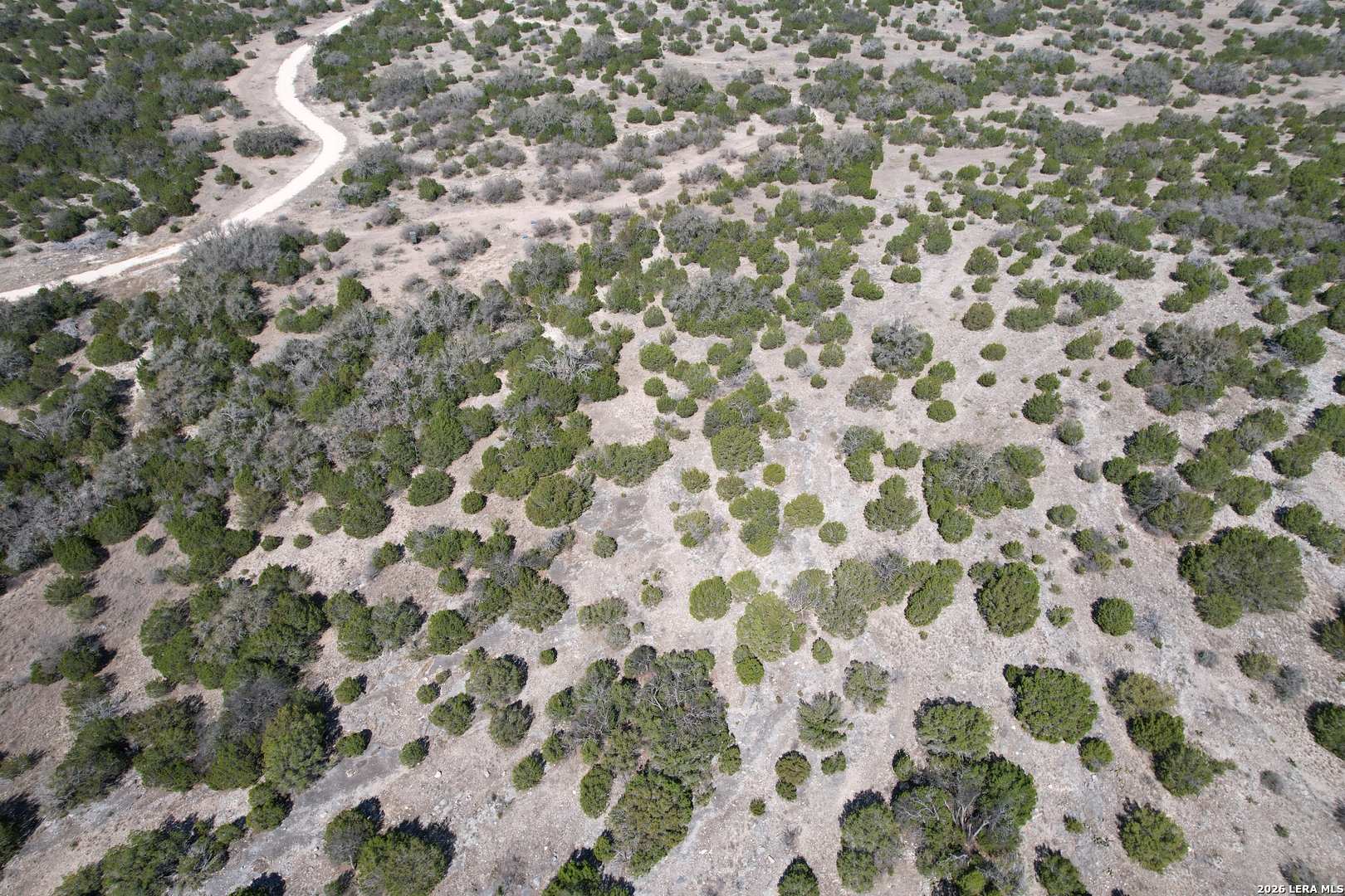 2197 Sd 45340 Rocksprings, TX 78880 - Photo 4 of 37 a close up of a plant