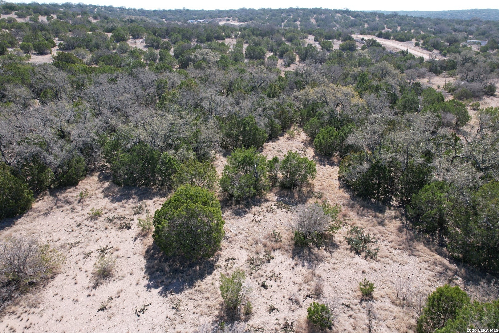 2197 Sd 45340 Rocksprings, TX 78880 - Photo 7 of 37 a view of a covered with trees
